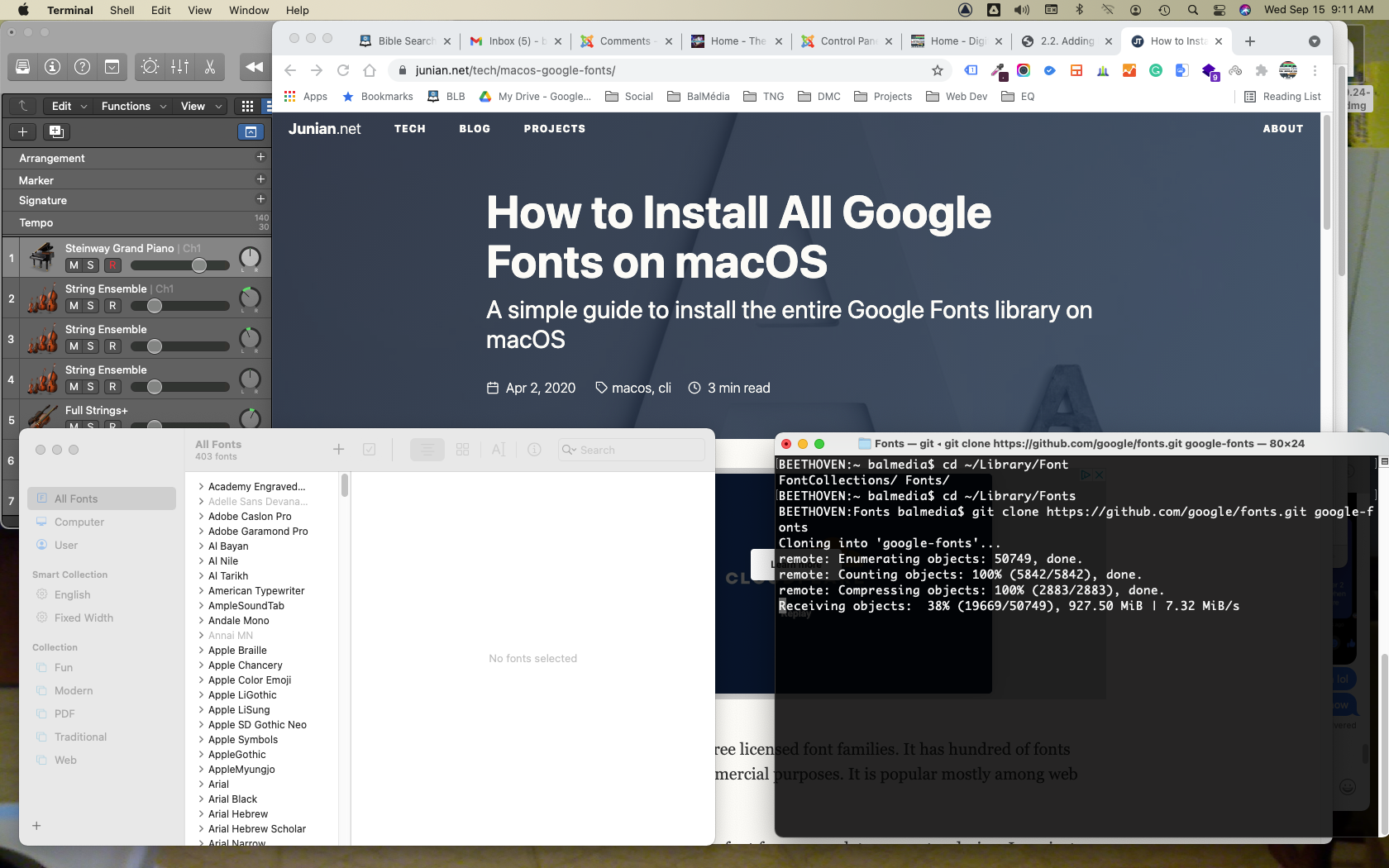 installing google fonts